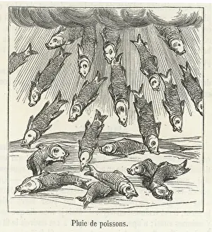 1557: Fish Fall
