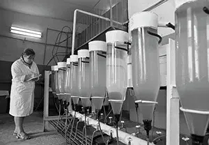 Artificially: Fish farm