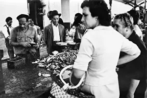 Almunecar: Fish market at Almunecar, Spain