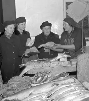 Zander: Fish market - Prague