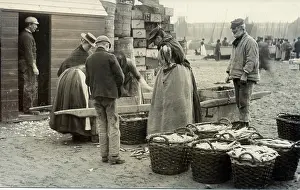 The Andrew Jenkins Collection: The Fish Market, St Ives, Cornwall