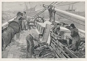 Storing: FISH/NEWFOUNDLAND BANKS
