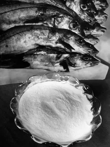 Four Year: Fish protein at the German material exhibition, 1938