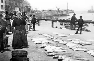 Fishwife: Fish seller, Whitby