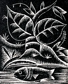 Swims: A fish swimming in a river