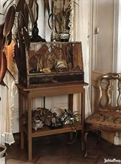 Focal: FISH TANK