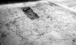 Fishbourne: Fishbourne, the Roman Palace c1968