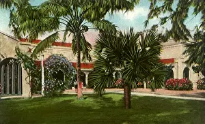 Flor: Fisher Elementary. Miami Beach