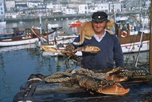 Lobsters: Fisherman with lobsters and cat, St Ives, Cornwall