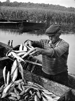 Shovels: Fisherman from Masuria with whitefish