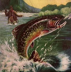 Wrestles: Fisherman nabs Fish