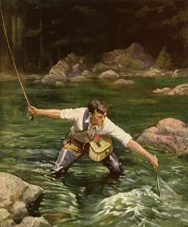 Trout: Fisherman Nets Trout