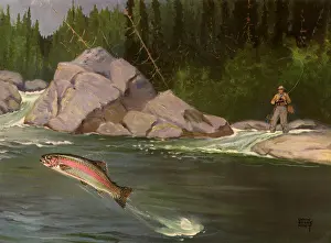 Trout: Fisherman and Trout