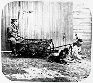 Sledges: Fishermans Sledge - Pulled by Dogs