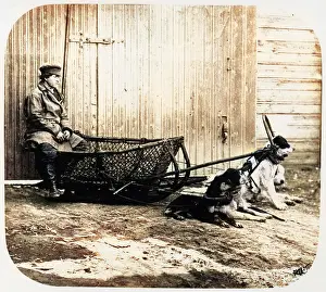 Sledges: Fishermans Sledge - Pulled by Dogs