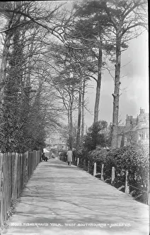 Hedges: Fisherman's Walk, West Southbourne