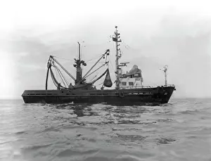 Novy: Fishermen, 1984
