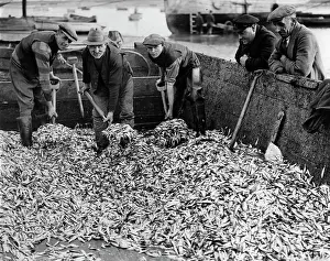 Manure: Fishermen