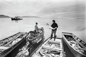Avacha: Fishermen in Avacha Bay
