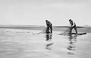 Draught: Fishermen take in their nets, 1911