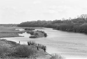 Despite: Fishery in contaminated waters, 1989