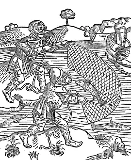 1484: fishery, drop net, 1484