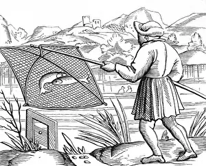 1544: fishery, drop net, 1544