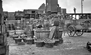 Fishery: Fishery workers