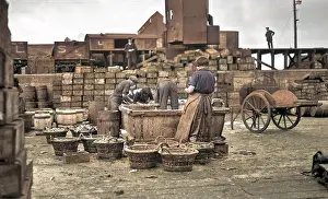 Fishery: Fishery workers