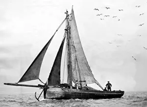 Catches: Fishing Boat, 1931