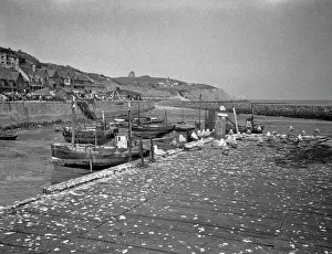 Gulls: Fishing boats on a beach