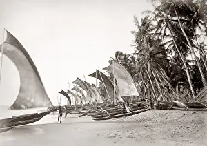 Catamarans: Fishing catamarans beach, Ceylon (Sri Lanka), c.1880's