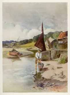 Cockles: FISHING FOR COCKLES/1909