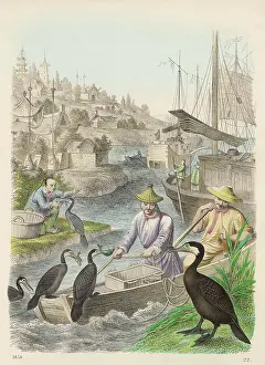 Junks: FISHING WITH CORMORANTS