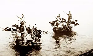 Cormorants: Fishing with Cormorants, Chine