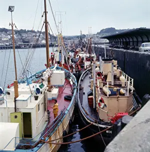 Moored: The Fishing fleet moored in Brixham Harbour, Devon