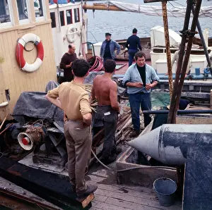 Moored: The Fishing fleet moored in Brixham Harbour, Devon
