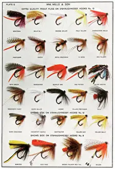 Lures: Fishing Flies (American)