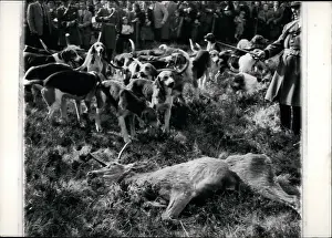 Rambouillet: Fishing - Hunting - Skeet Shooting - Trapping