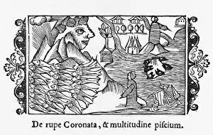 Shipwrecked: FISHING/MAGNUS/1555