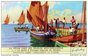Lagoons: FISHING NEAR VENICE