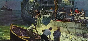 Moonlit: Fishing at Night