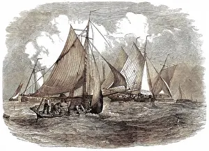 Shellfish: FISHING FOR OYSTERS