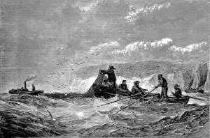 Pilchards: Fishing for Pilchards 1871