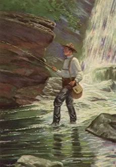 Amid: Fishing in Pool