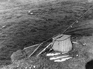 Trouts: FISHING TACKLE & TROUTS