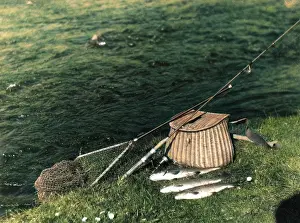 Trouts: FISHING TACKLE & TROUTS