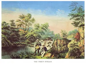 Trout: Fishing for Trout