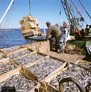 Unloaded: Fishing vessels unloaded, 1976