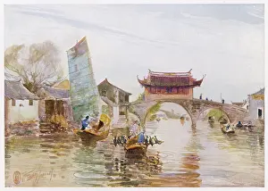 Wong: FISHING W.CORMORANTS